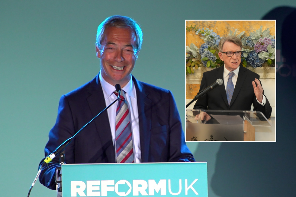Farage had previously offered to help the ambassador