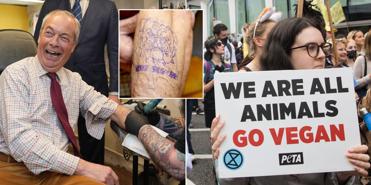 NextImg:'Woke nonsense!' Reform brands Peta 'anti-British' after NGO scolds Nigel Farage's bulldog 'tattoo'