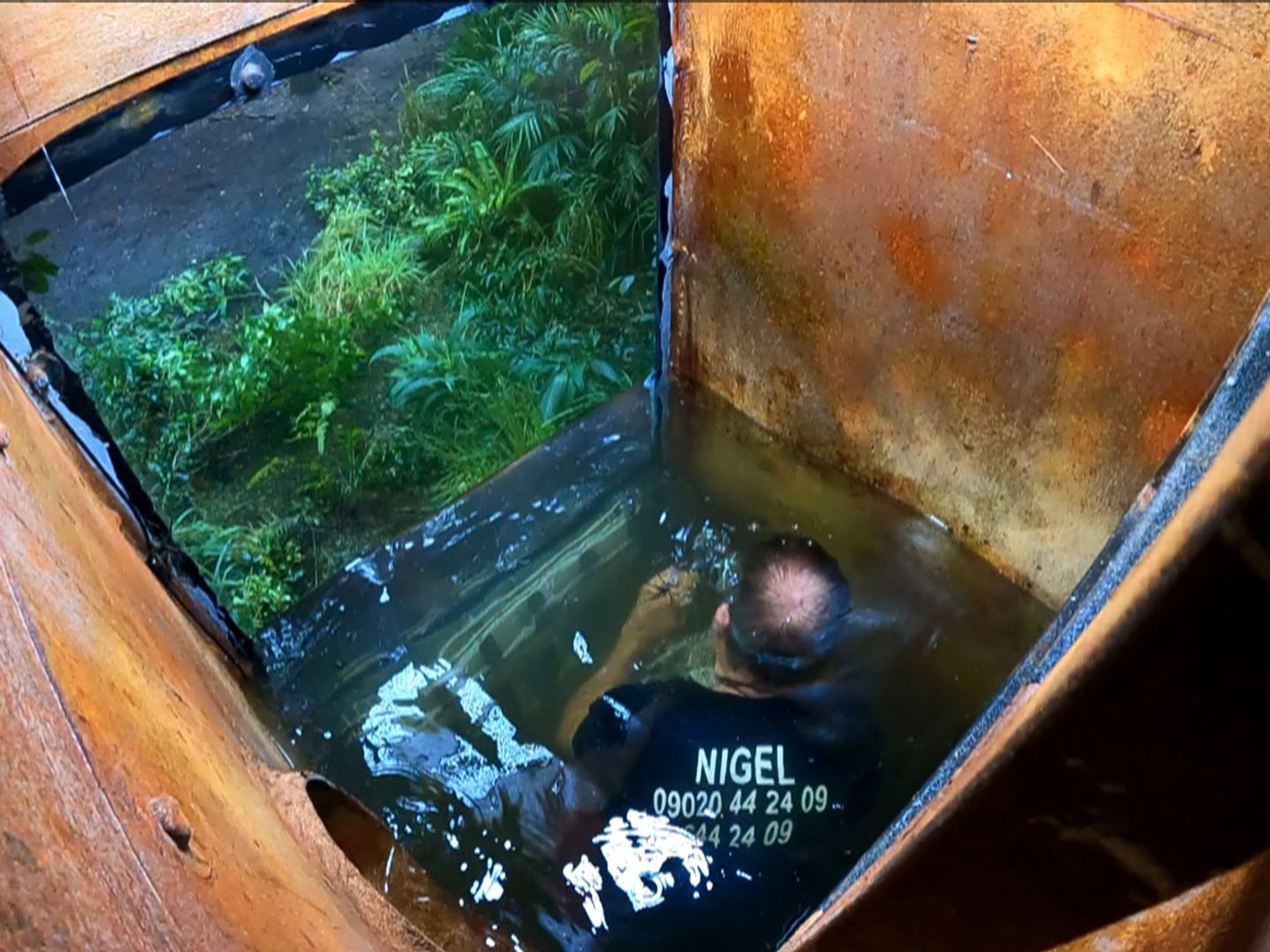 Farage submerges himself in the water