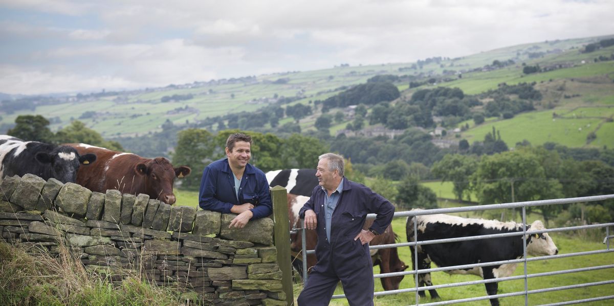 ‘You’re locked into a loss!’ ‘You’re locked into a loss!’