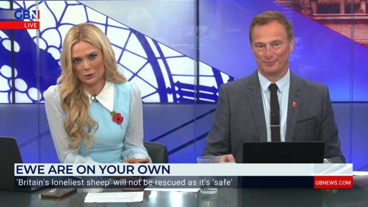 ‘Most suicidal animals ever’ Farmer gives update on Britain’s loneliest sheep as calls to rescue ewe grow