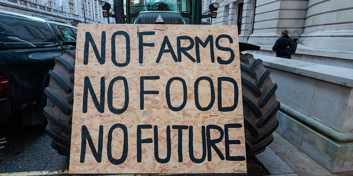 British farms at breaking point as food production no longer pays, damning report warns British farms at breaking point as food production no longer pays, damning report warns
