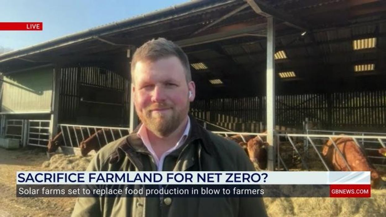 More than a tenth of farmland to become solar farms or eco habitats in net zero drive