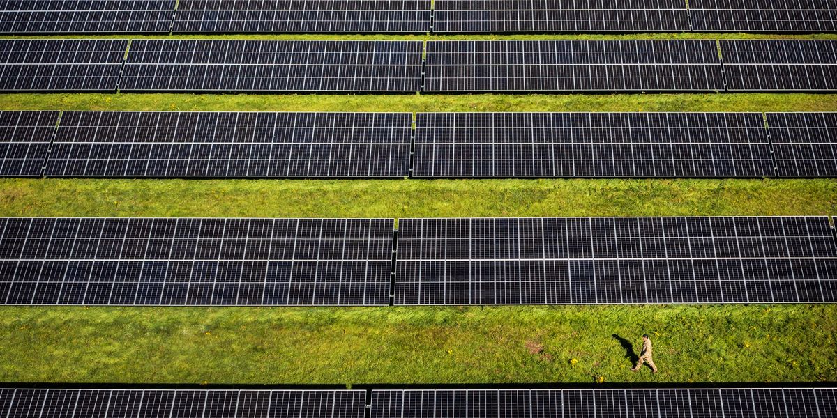 NextImg:More than a tenth of farmland to become solar farms or eco habitats in net zero drive