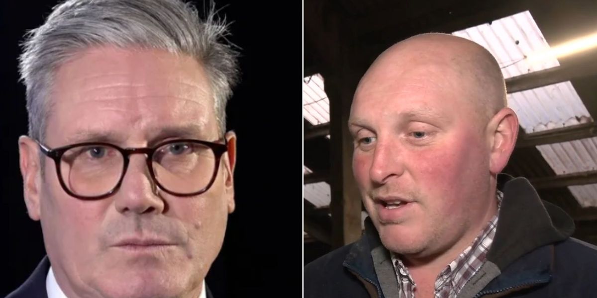 NextImg:'Look after us!' Farmer issues heartfelt plea to Labour - 'Where do you want your food coming from?!'