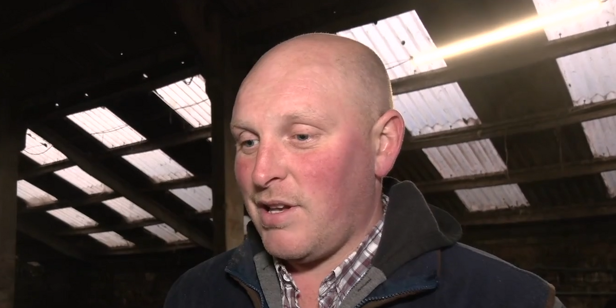 NextImg:'That is going to hit us massively!' Farmer begs Labour to 'look after us'