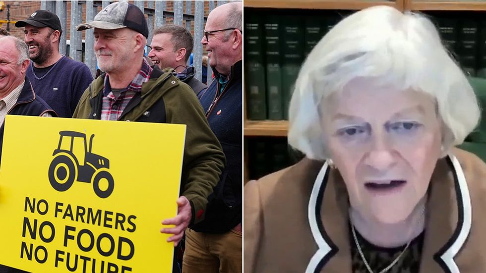 Farmers, Ann Widdecombe