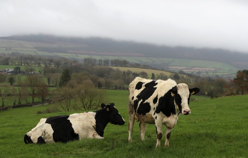 Farmers have harboured concerns over trade deals over fears of British produce being undercut