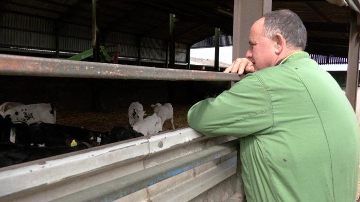 King Charles admits his ‘heart goes out’ to ‘struggling’ British farmers as he acknowledges ‘challenging’ period
