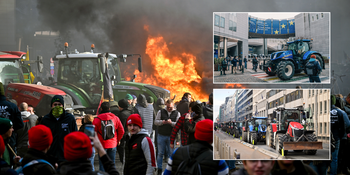 Brussels farmers' protests: EU forced to delay hated new plans after farmers stage extraordinary protest thumbnail