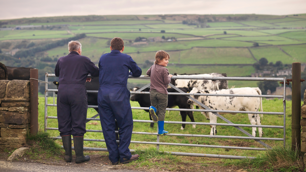 Farming family watch livestock in field