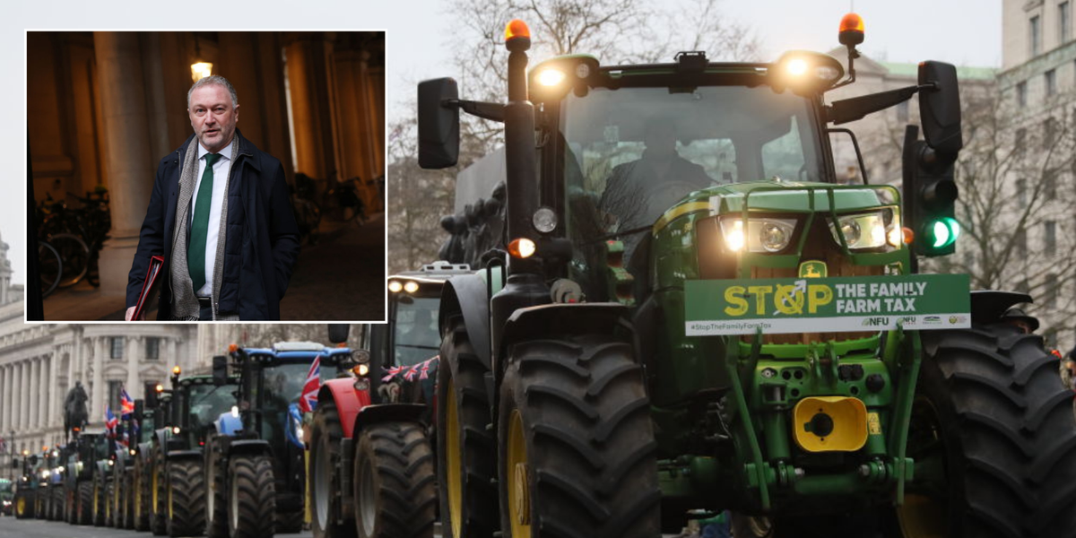 NextImg:Labour extends olive branch to farmers with plan to offer major windfall to struggling growers