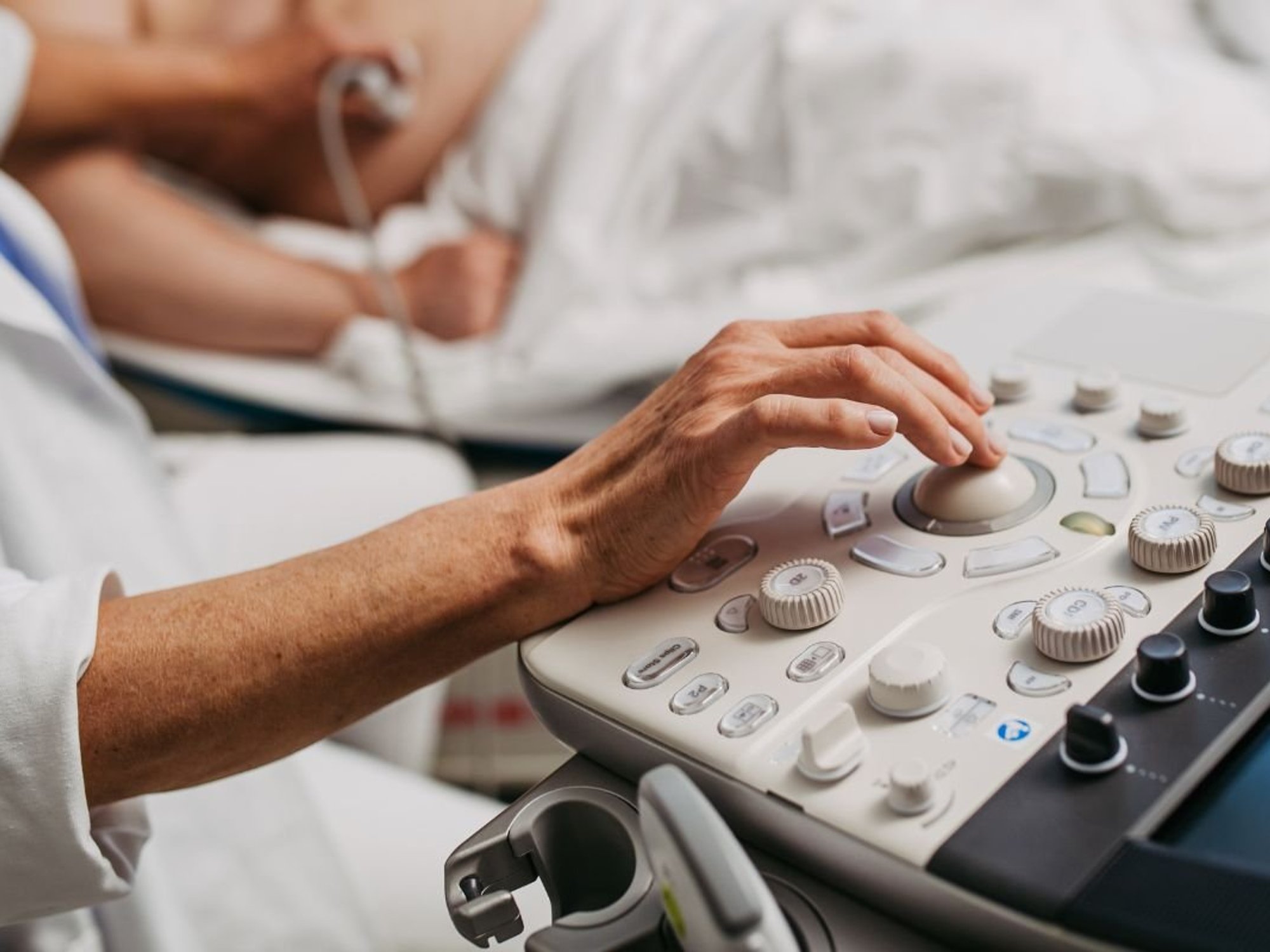 fatty liver disease scan