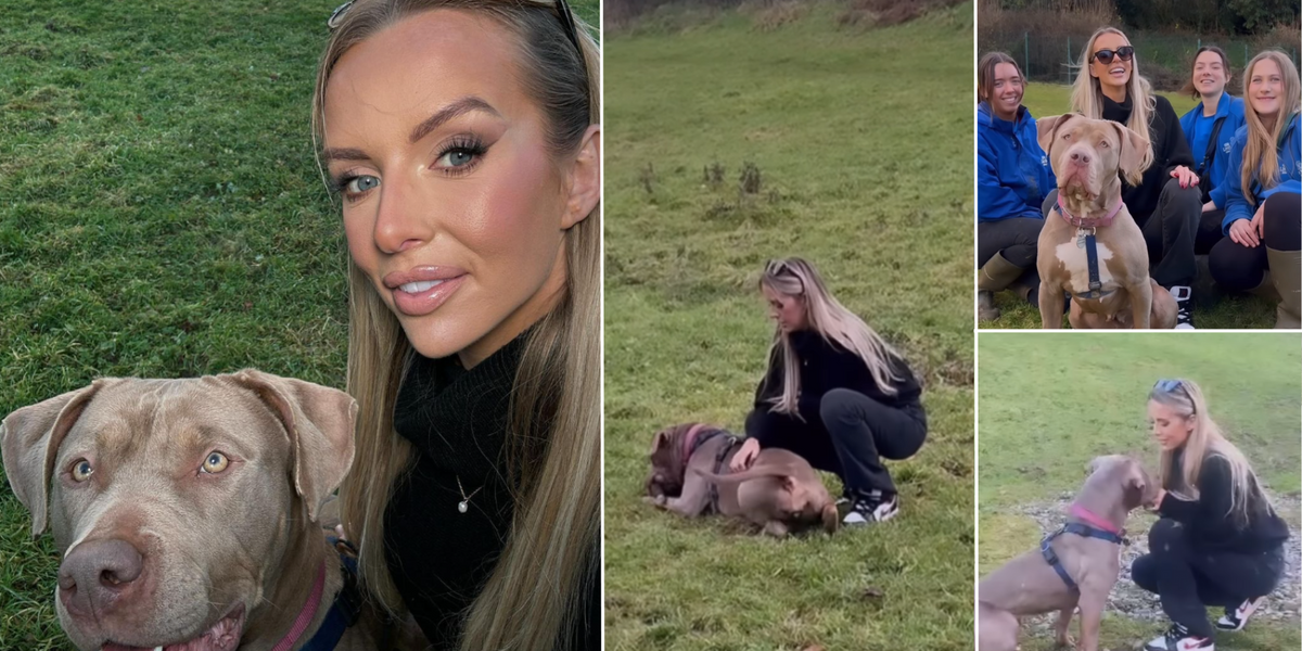 NextImg:Love Island star who formed special relationship with XL Bully has message for Rishi Sunak: 'Stop discriminating against us!'