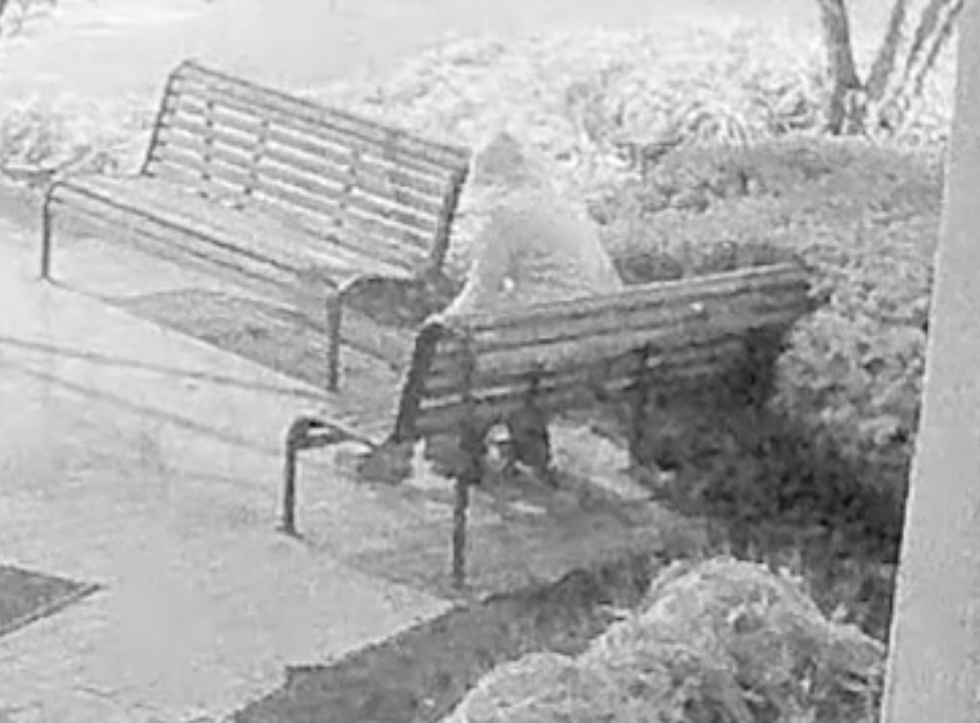 FBI pipe bomb suspect