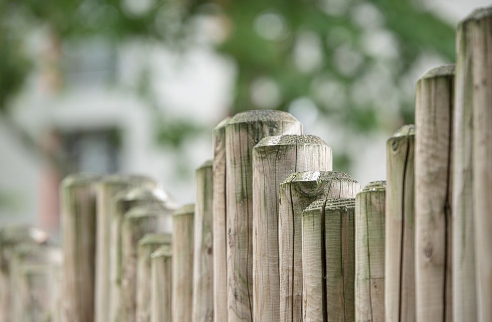 Fence in garden