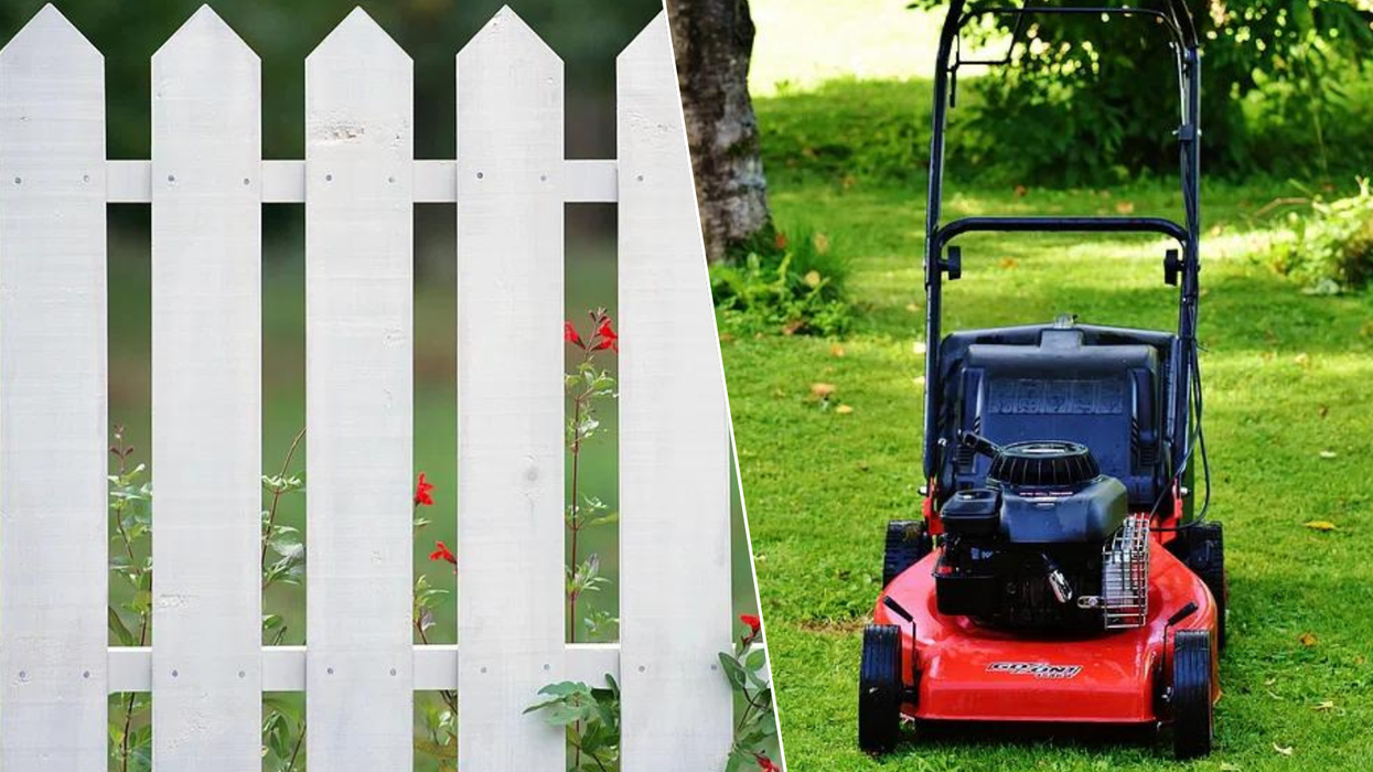 Fence/Lawnmower