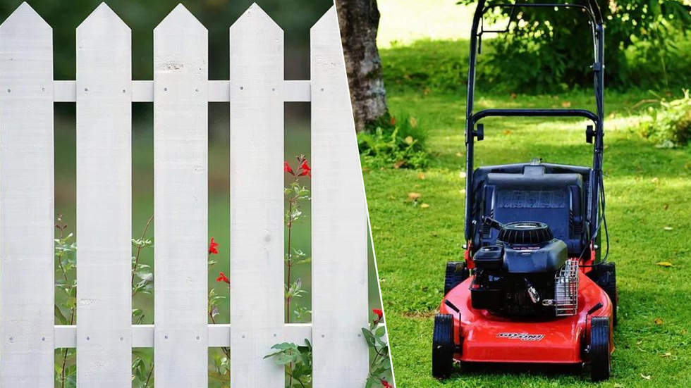 Fence/Lawnmower