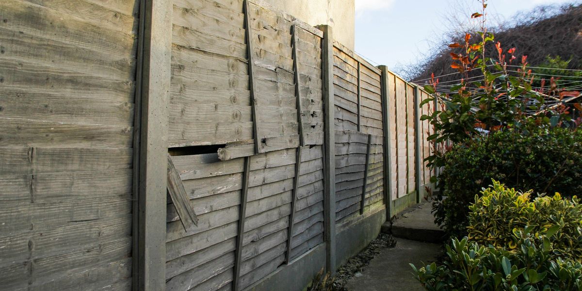 NextImg:Woman laughs in neighbour's face after being accused of being 'selfish' in row over fence