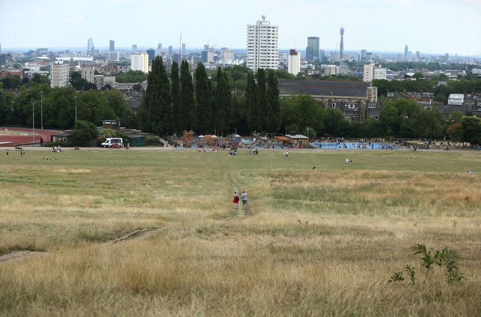 Field at Hampstead Heath