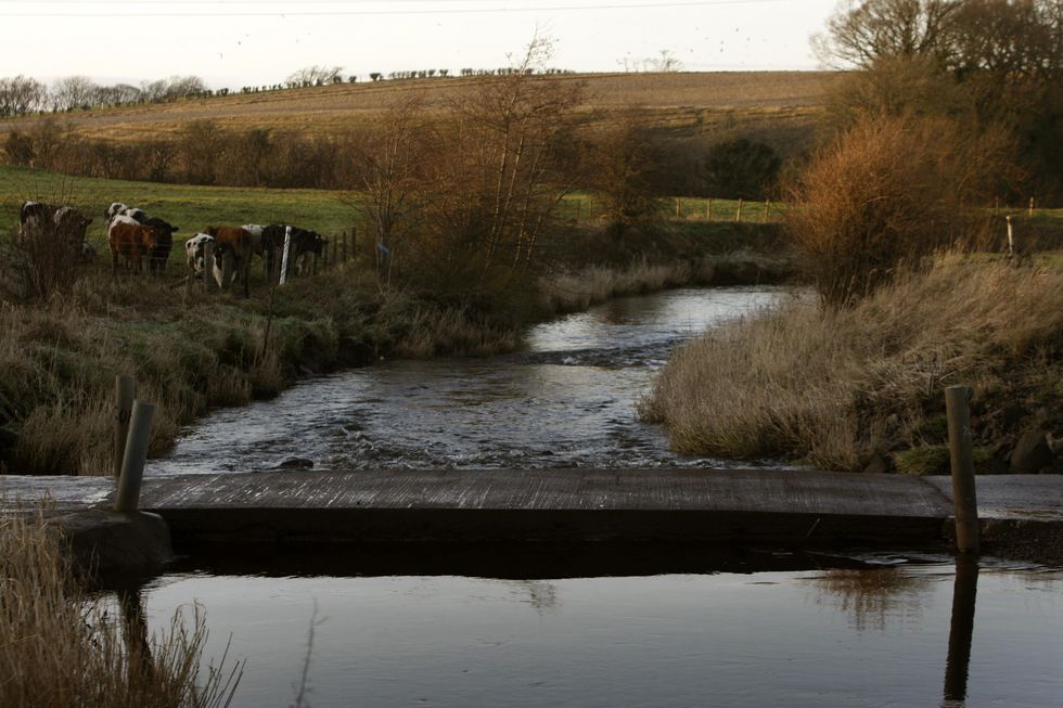 Field in East Renfrewshire