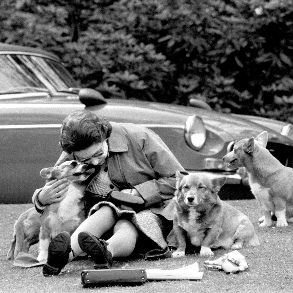 File photo dated 12/05/73 of Queen Elizabeth II sitting with her corgis, at Virginia Water to watch competitors, including Prince Philip in the Marathon of the European Driving Championship, part of the Royal Windsor Horse Show. Issue date: Sunday January 30, 2022.