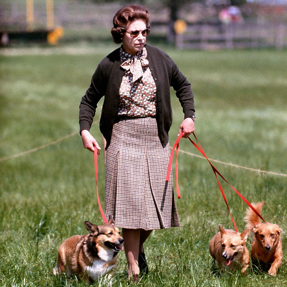 File photo dated 17/05/80 of Queen Elizabeth II with some of her corgis walking the Cross Country course during the second day of the Windsor Horse Trials. Issue date: Sunday September 18, 2022.. Photo credit should read: PA Wire
