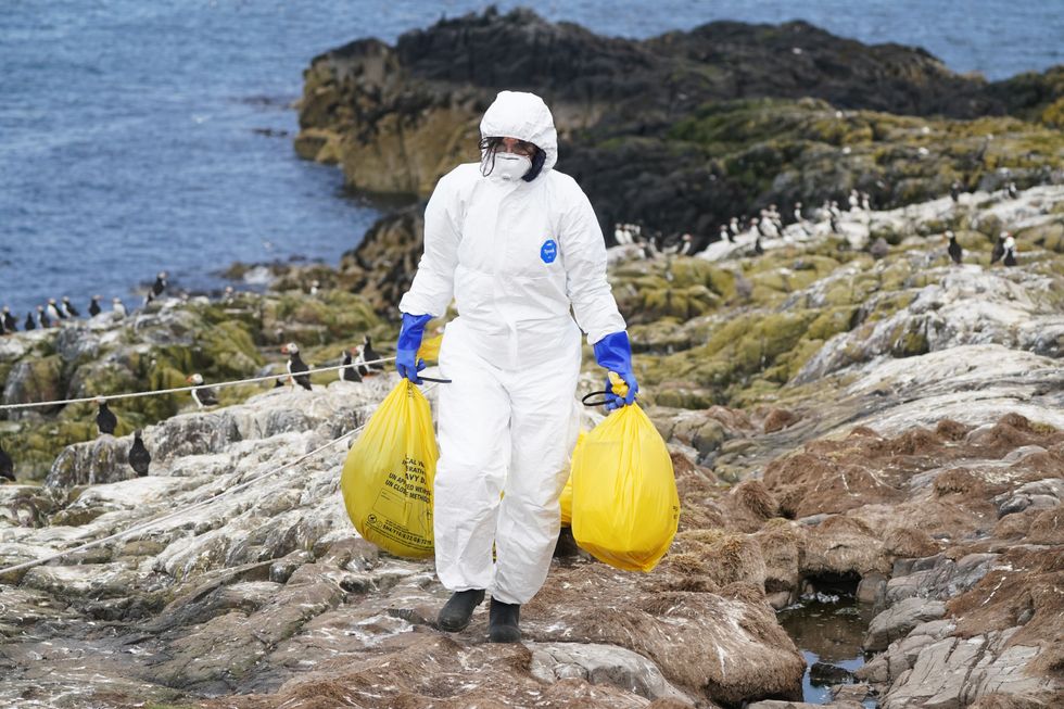 File photo dated 20/07/22 of a National Trust ranger clearing dead birds from bird flu at Staple Island, one of the Outer Group of the Farne Islands, off the coast of Northumberland, as this year's %22litany%22 of weather extremes, including storms, drought and record-breaking heat, is set to become the new norm, the National Trust has warned.