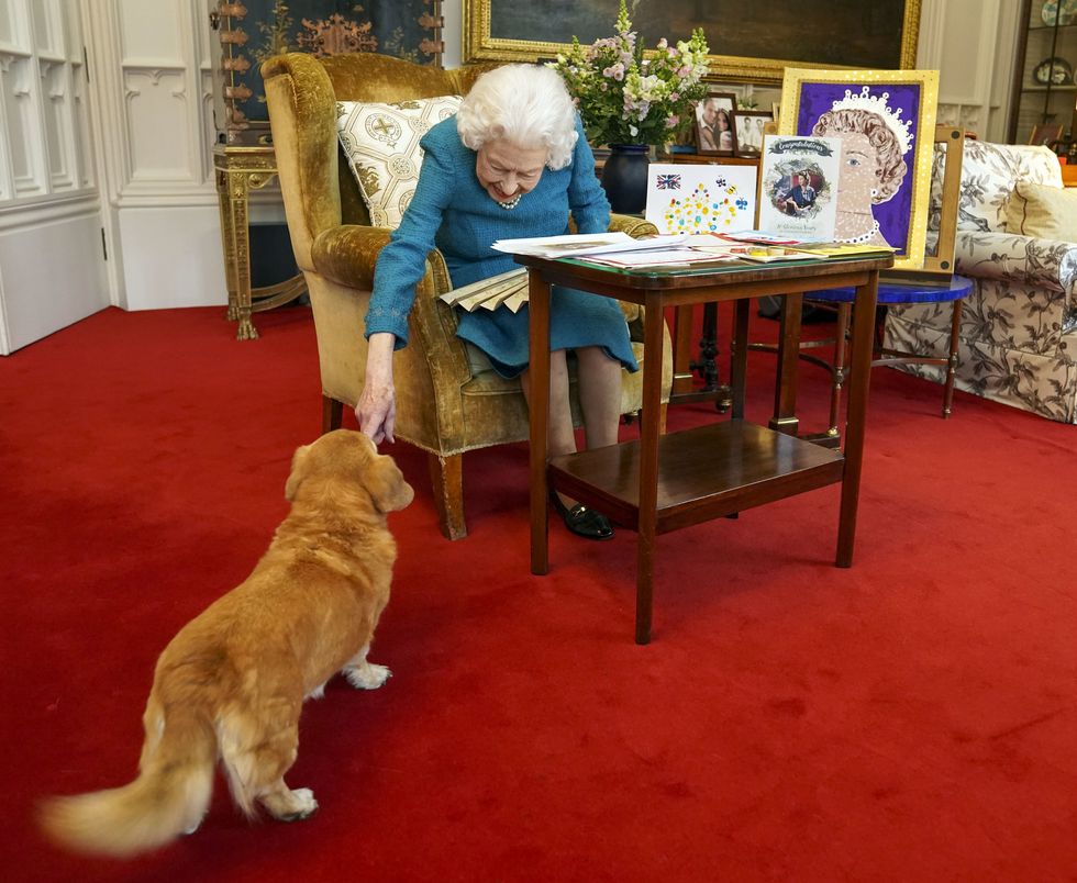 File photo dated 4/2/2022 of Queen Elizabeth II being joined by one of her dogs, a Dorgi called Candy, as she viewed a display of memorabilia from her Golden and Platinum Jubilees in the Oak Room at Windsor Castle. During her reign, the Queen owned more than 30 corgis, with many of them direct descendants from Susan, who was given to her as an 18th birthday present by her parents in 1944 and was so loved that she accompanied Princess Elizabeth on her honeymoon. Issue date: Thursday September 8, 2022.