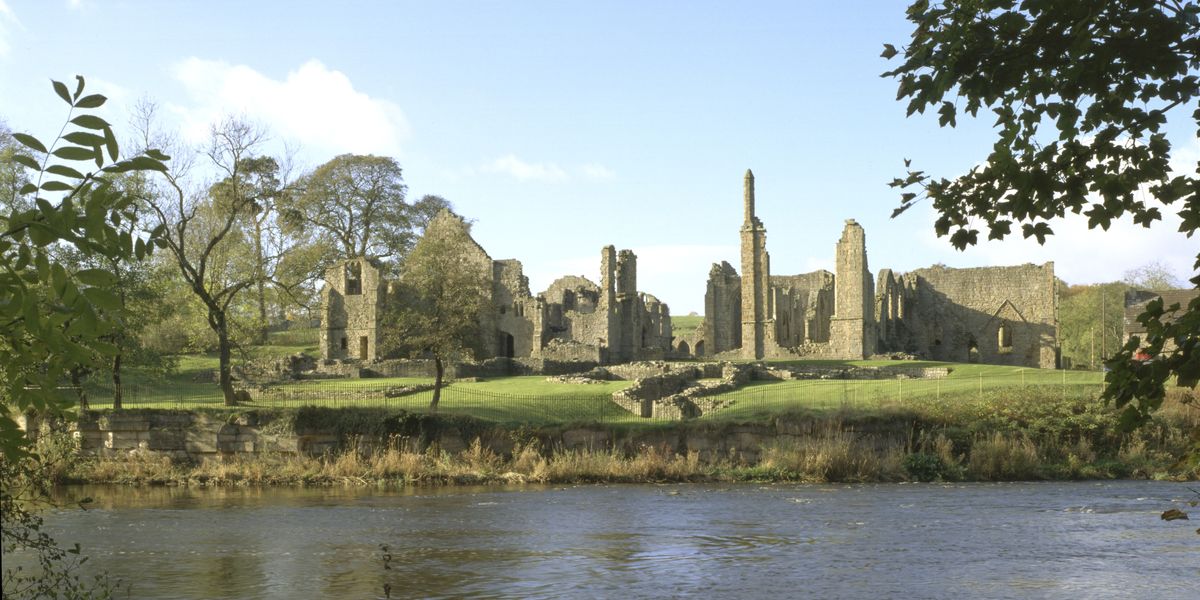 NextImg:Mystery sword found stuck in tree near 13th century priory as locals left baffled