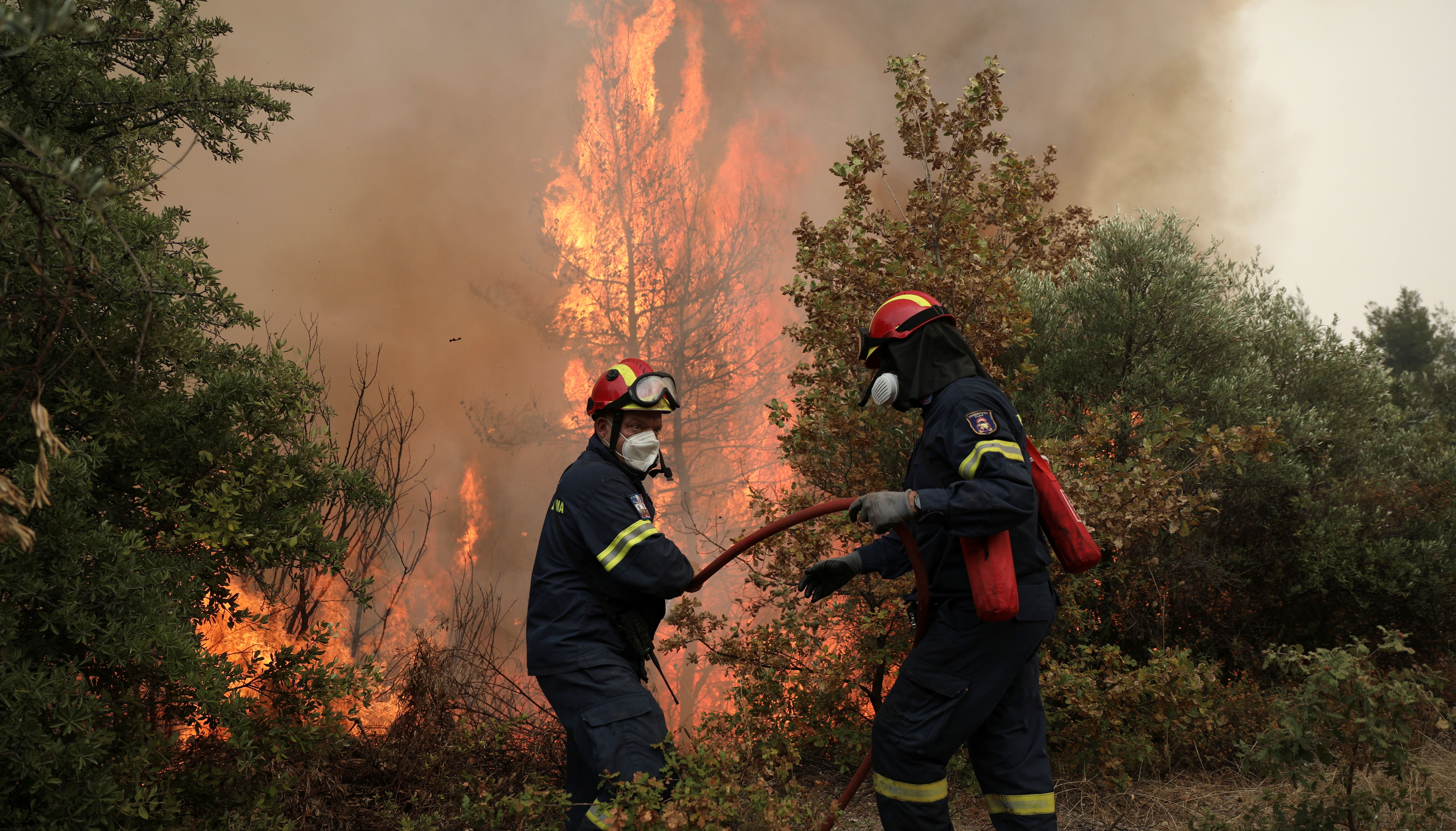 Firefighters try to extinguish a fire in the village of Avgaria, on the island of Evia, Greece