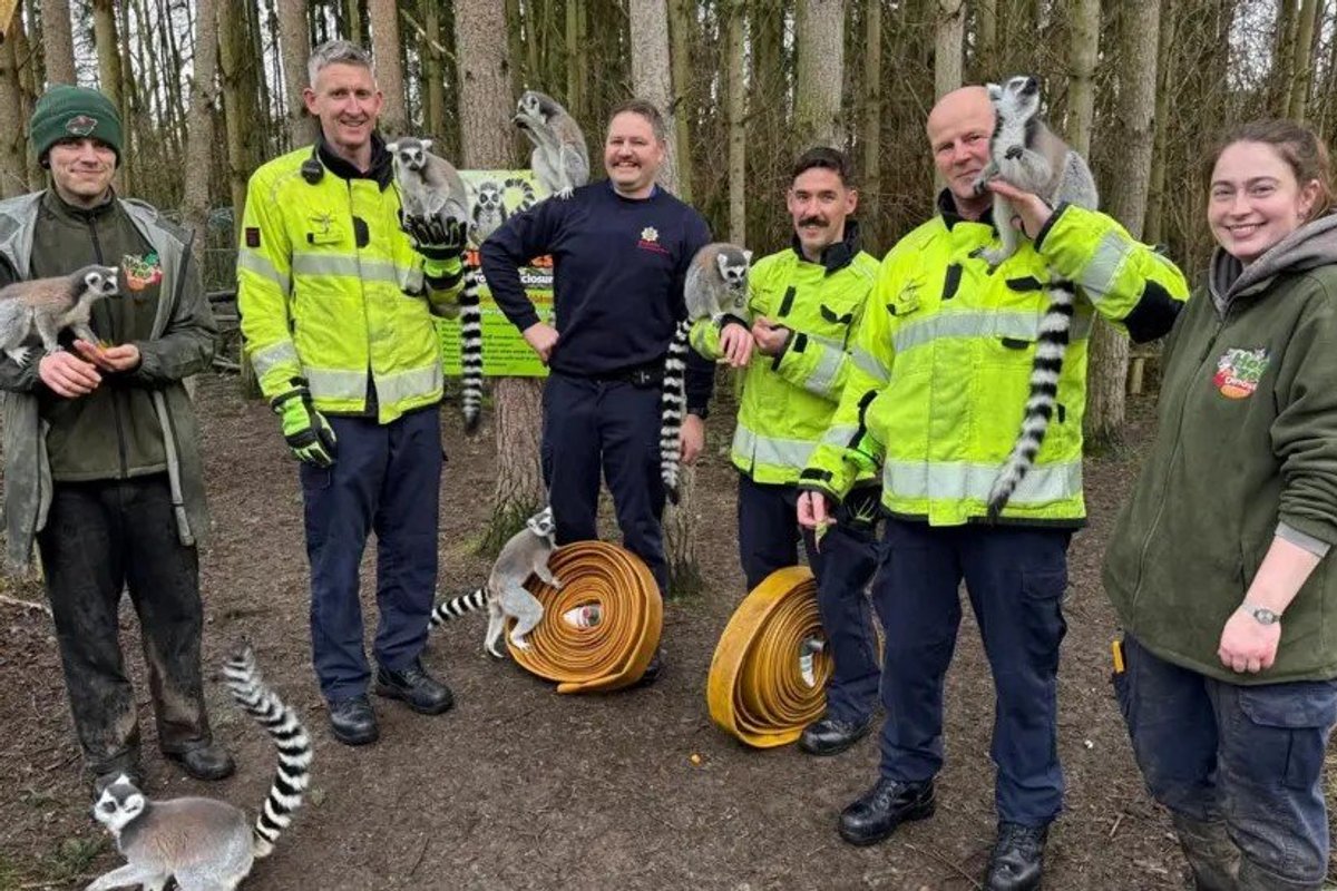 Fireighters, zoo staff and lemurs with the donated hoses
