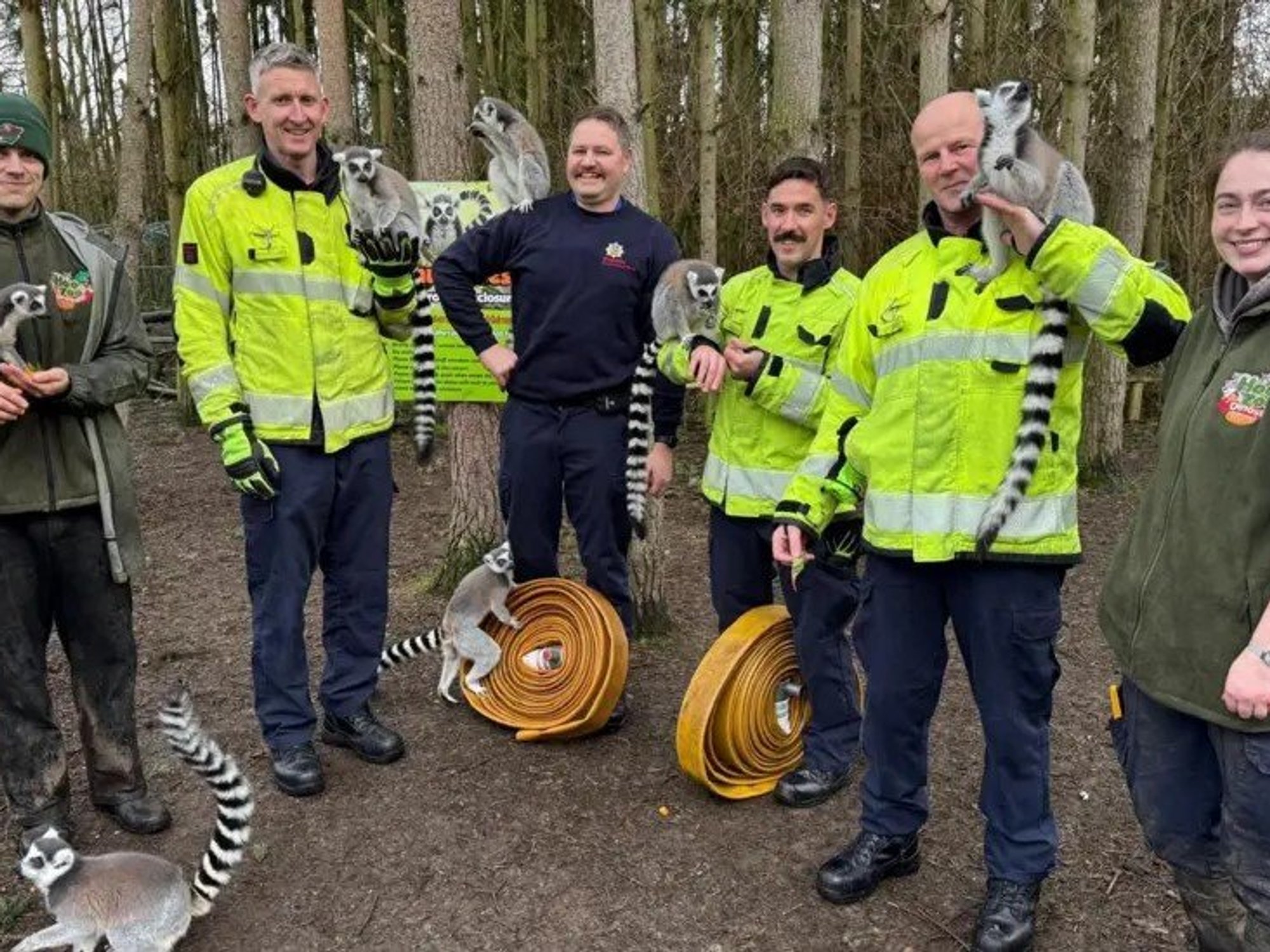 Fireighters, zoo staff and lemurs with the donated hoses