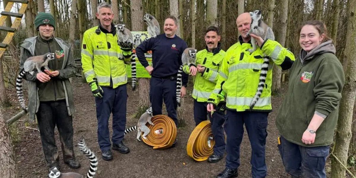 Firefighters donate old hoses to zoo’s endangered lemurs Firefighters donate old hoses to zoo’s endangered lemurs