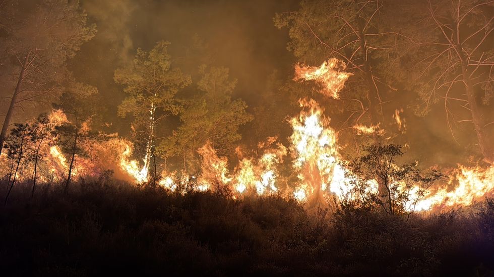 Fires in Turkey