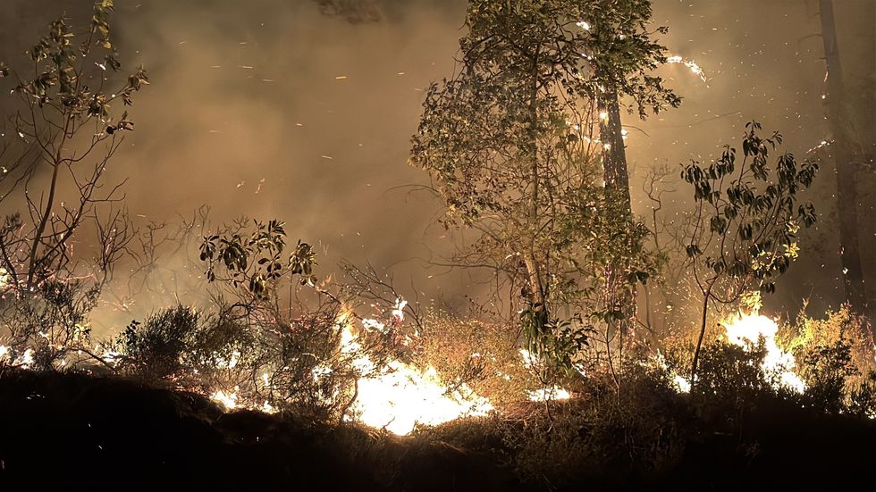 Fires in Turkey
