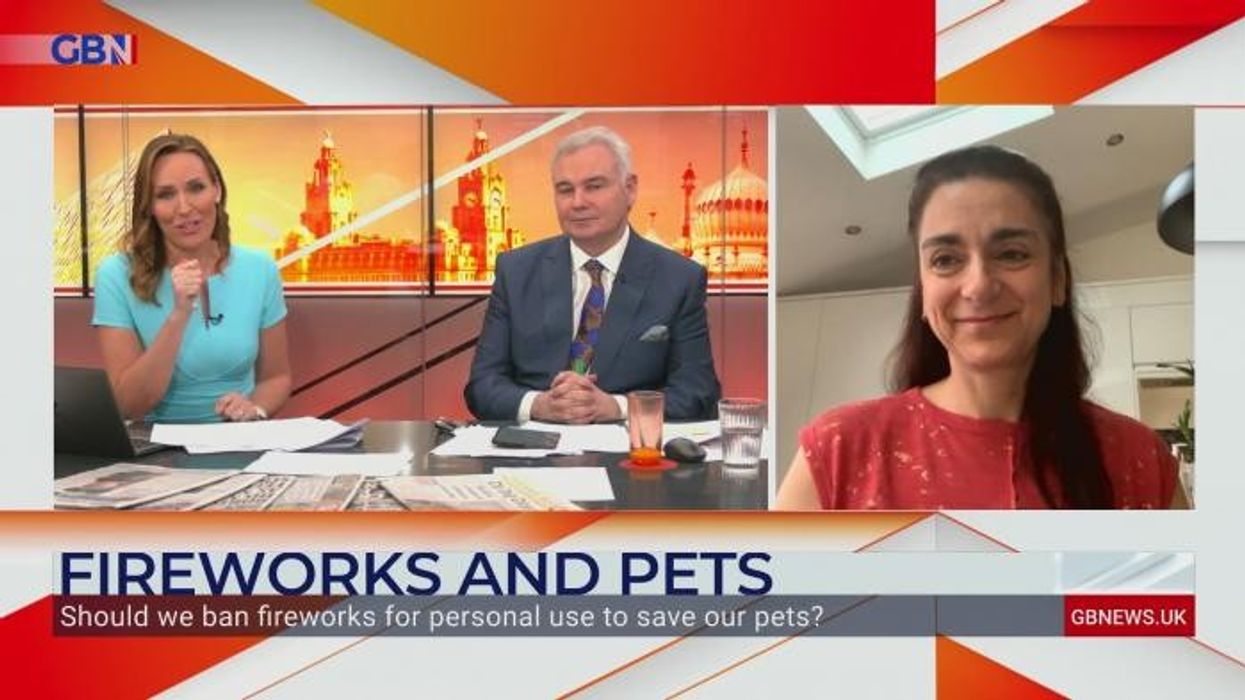 Fireworks night AXED with 'longstanding' event cancelled amid row with council over 'unworkable' restrictions