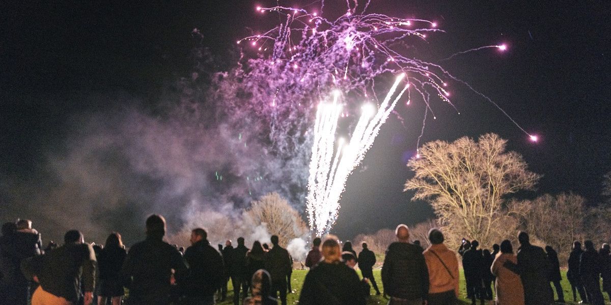 NextImg:Several injured including children after fireworks fall into crowd at cricket club