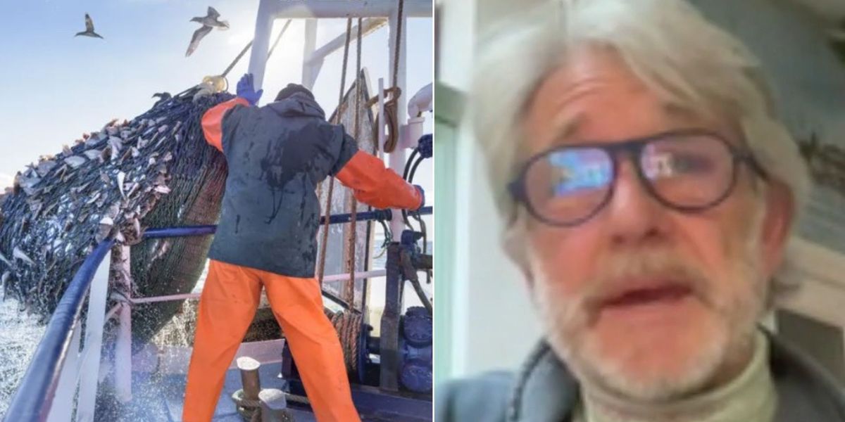 NextImg:Fishermen 'feeling shafted' as they are 'sold down the river' by Labour: 'A pawn in a massive game!'