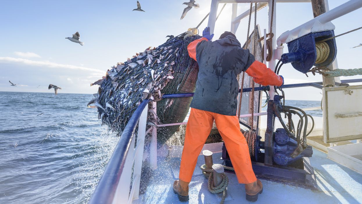 Fisherman in pictures