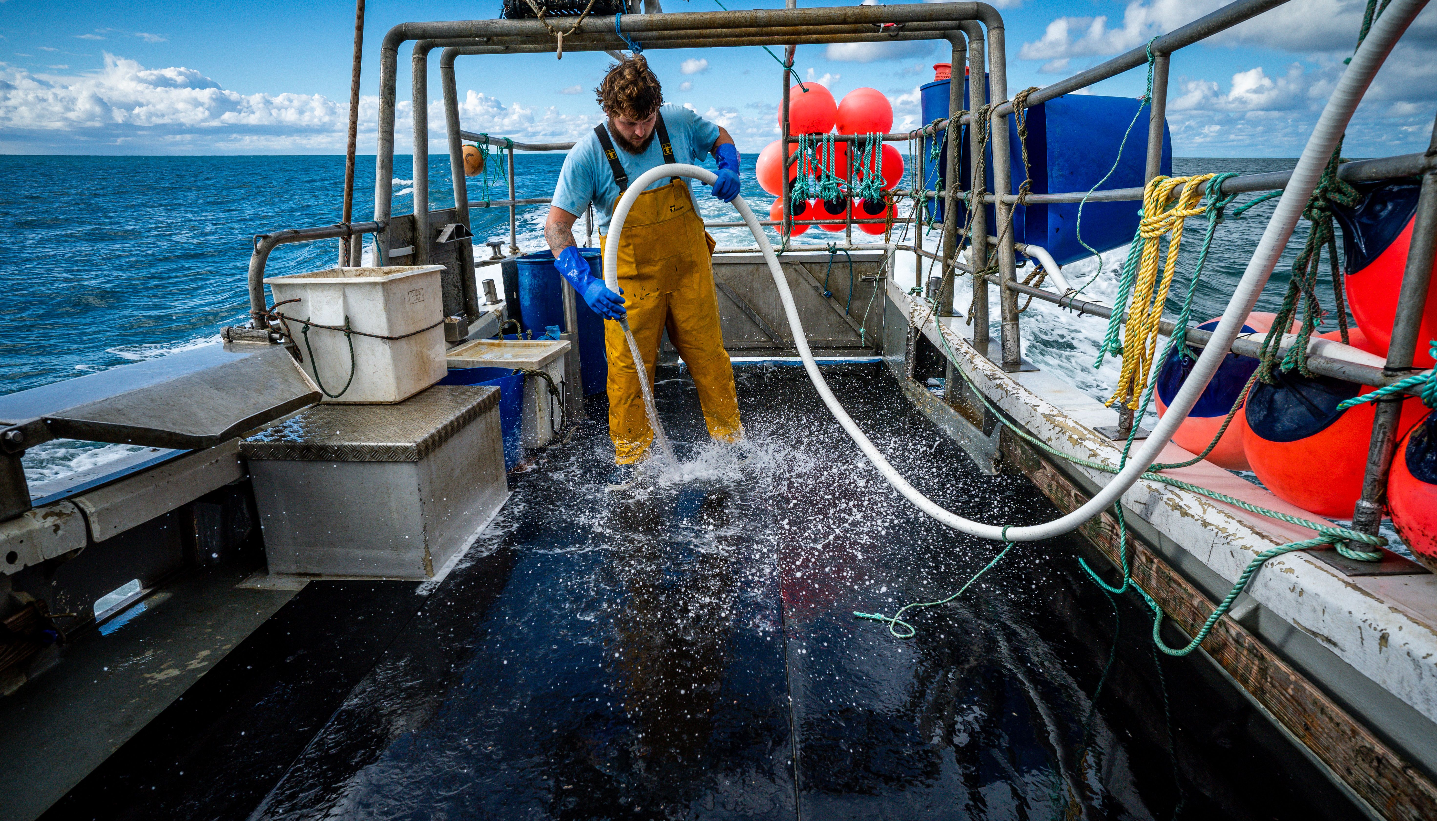 Fisherman Jack Bailey, 25, washes down the deck after a days fishing aboard his boat, White Waters, off the coast of Jersey. The UK will not %22roll over%22 in the face of %22unreasonable%22 threats from French president Emmanuel Macron over the post-Brexit fishing row, Foreign Secretary Liz Truss said. Picture date: Wednesday November 3, 2021.