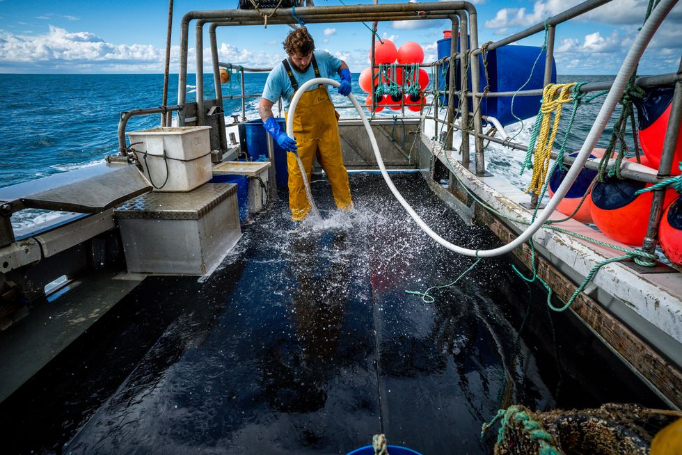 Fishing is a key industry in the UK