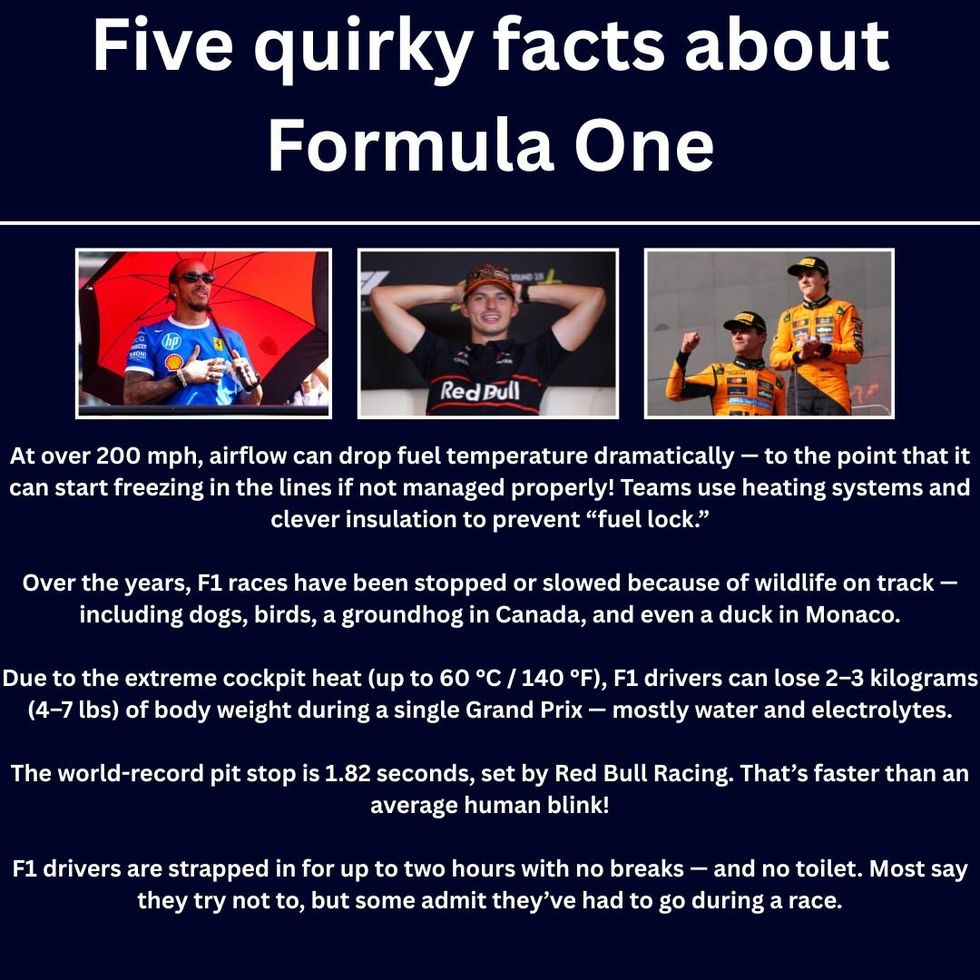Five quirky facts about Formula One