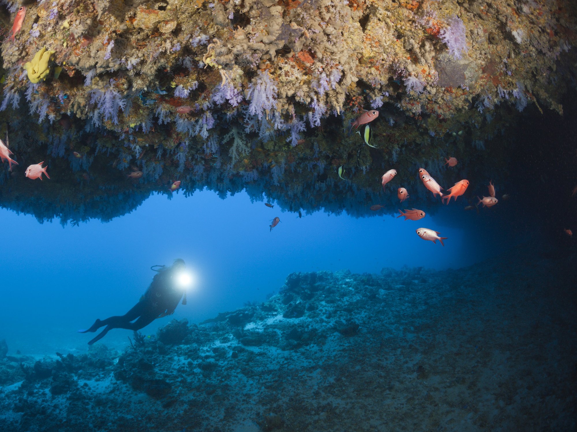 Five tourists dead in Maldives after diving trip in 160ft-deep underwater cave goes wrong