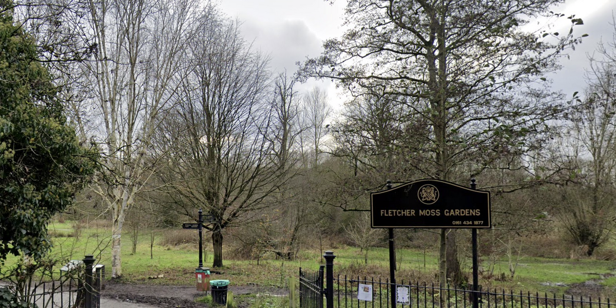 NextImg:Boy dies after mistakenly eating poisonous berries during walk with his dad