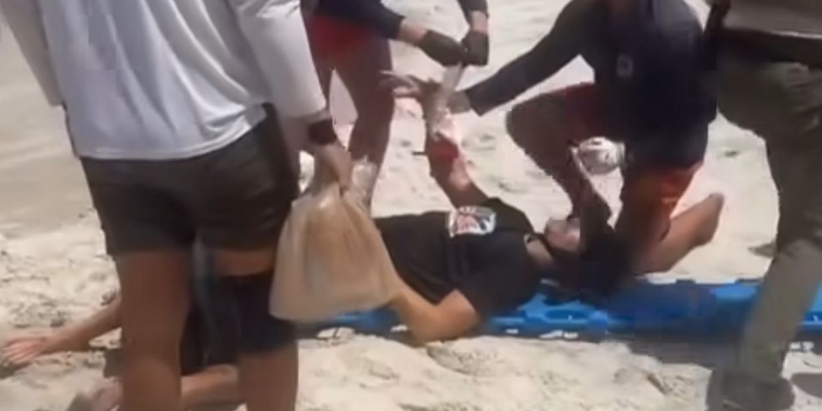 NextImg:Shark latched on 'like a bear trap' on surfer's hand in world's bite capital
