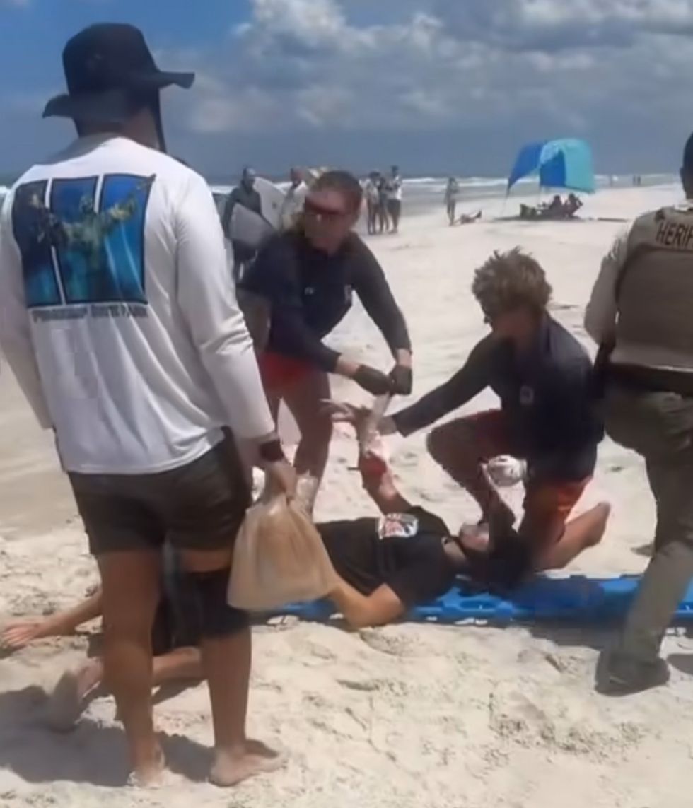 Florida shark attack