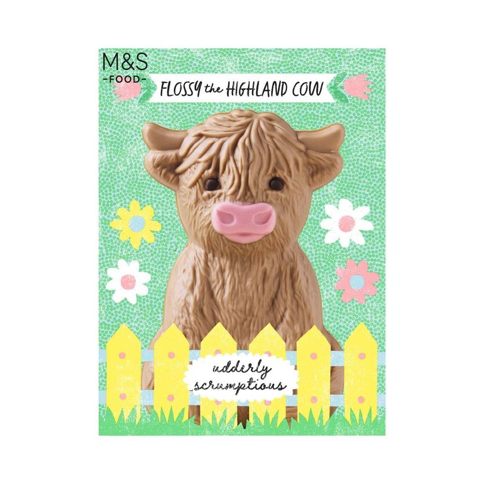 Flossy the Highland Cow