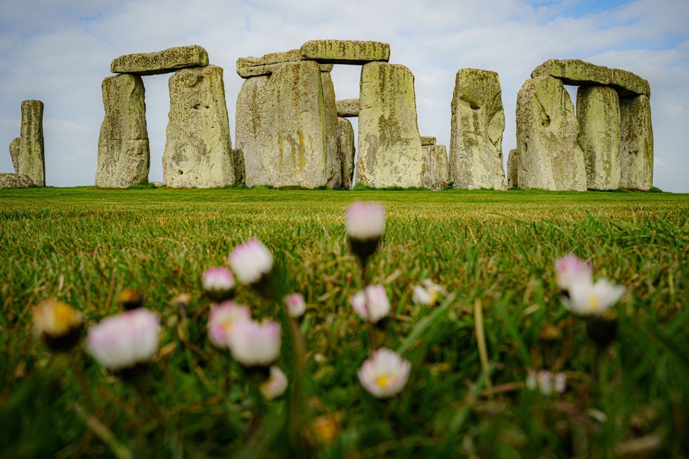 Flowers grow around the stone circle at Stonehenge, Wiltshire