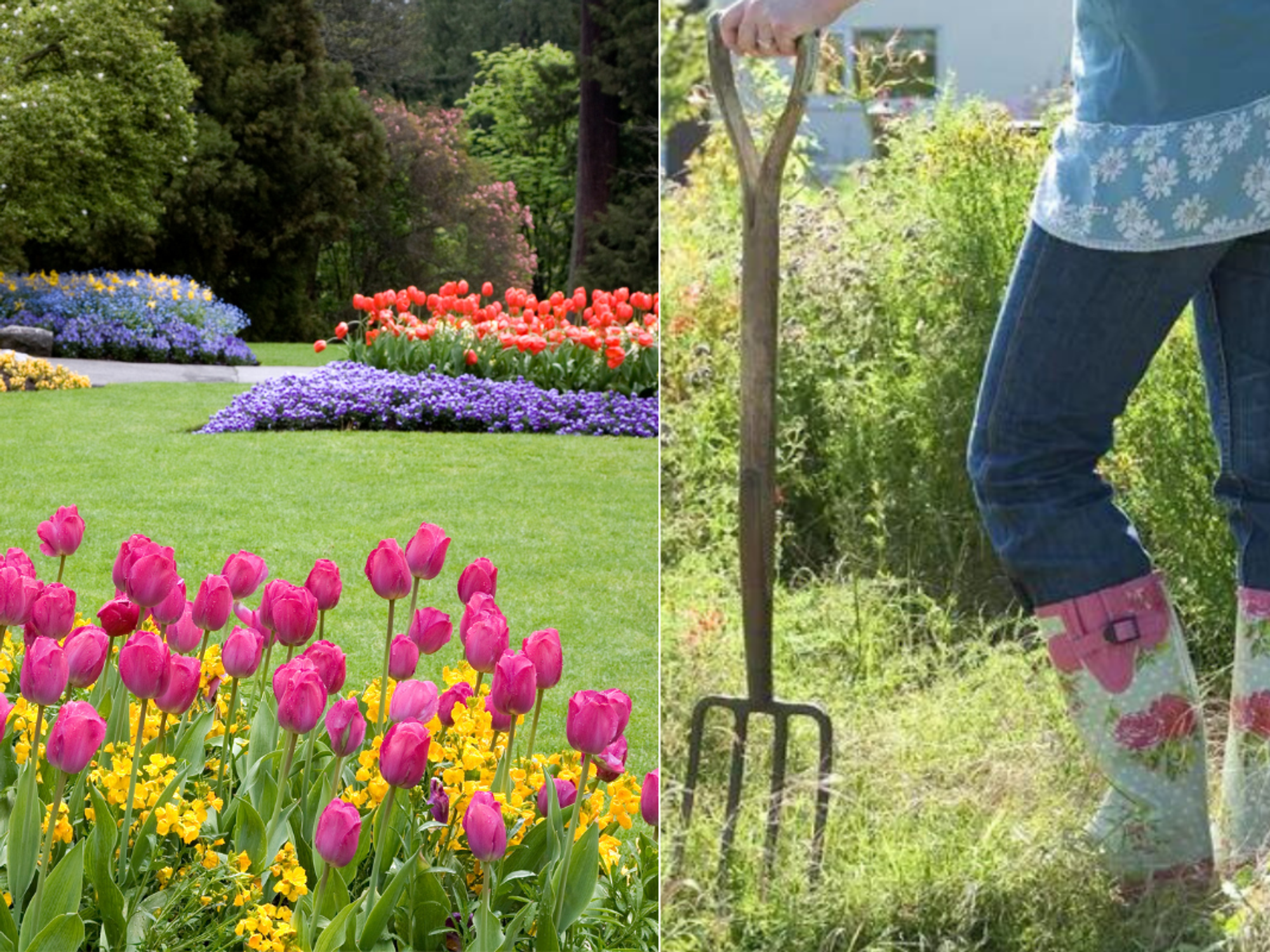 Flowers in a garden / woman holding shovel